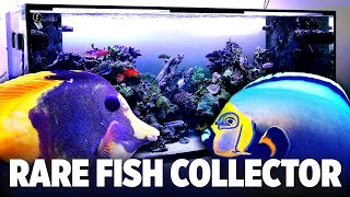 Amazing Fish Collection In A 225G Reef Tank