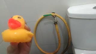 flve the duck and Sweeney on the way song lyrics genius episodes 29