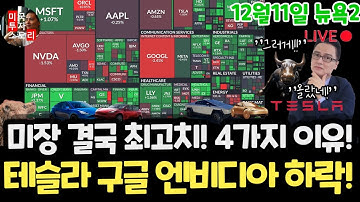 미국주식시황/상승한4가지 이유! 테슬라 엔비디아 구글 하락!왜? 애플 아마존 메타 마이크로소프트 GPT5.2 아이온큐 리게티 QBTS 브로드컴 오라클 룰루레몬 DXYZ 일라이릴리