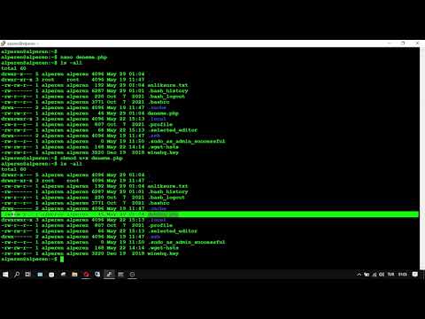 Video: $ nedir? Bash betiğinde mi?