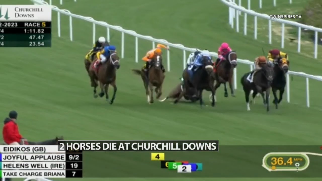 2 horses euthanized after sustaining injuries Saturday at Churchill ...