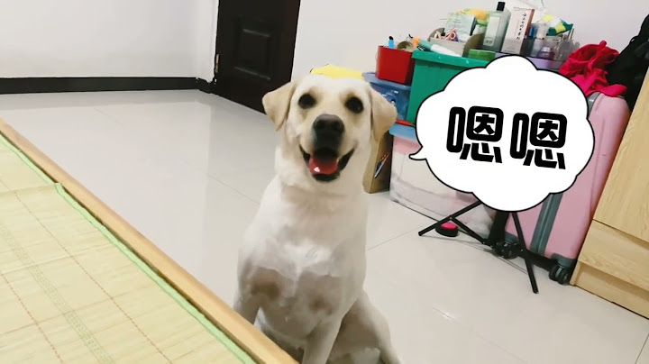 狗子为了吃到肉干都急得开口说话了，还拍马屁说主人漂亮