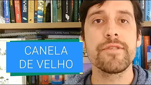 Para que serve cápsulas de canela de velho?