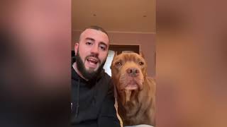 3 PITTBULL SBRANANO UN BIMBO E QUELLO CHE DICE QUESTO RAGAZZO  FARÀ DISCUTERE!