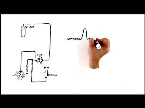 Video: ¿En la cromatografía de intercambio catiónico?