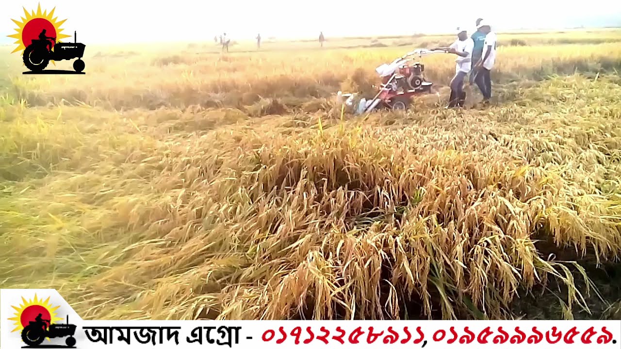 ধান কাটা আটি বাধা মেশিন তারা ৯০(Tara 90)