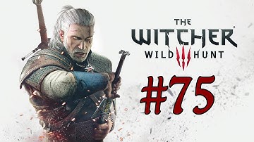 The Witcher 3 Wild Hunt Walkthrough - Through Time and Space