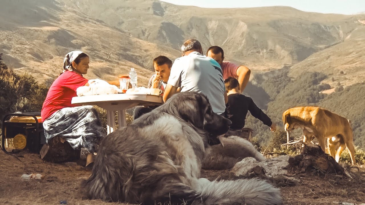 Otkrijte čaroliju dana i noći na bačiji ispod Šare