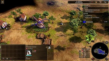 Age of Empires III  Definitive Edition 2020 Bug