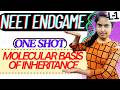 MOLECULAR BASIS OF INHERITANCE|NEET2026|SUPER One Shot|PYQ|12th BIOLOGY|NEET ENDGAME SERIES|360/360|