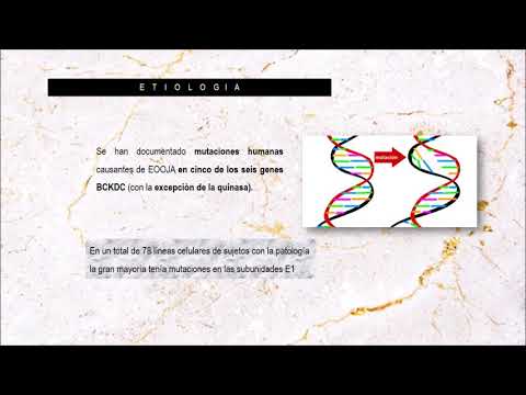 Vídeo: Efectos De Un Suplemento Deportivo A Base De Aminoácidos Ramificados-alanina-carbohidrato De Cadena Ramificada Disponible Comercialmente Sobre El Esfuerzo Percibido Y El Rendimient