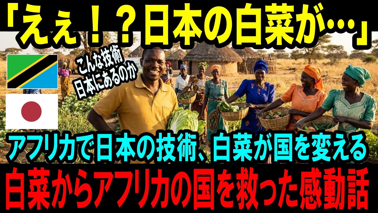 日本で農業を１から学んだ少年が村を救った感動エピソード・アフリカ・タンザニアで奇跡を起こした白菜｜誉れJAPAN｜海外の反応｜日本称賛