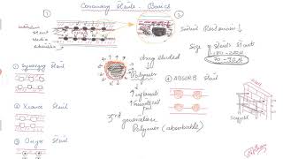 Coronary Angiogram. Basics of Drug eluting stents