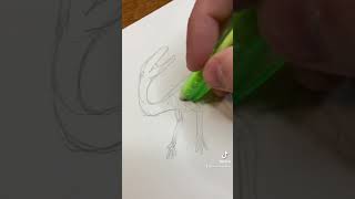 Coelophysis - Dinosaur Timelapse Drawing