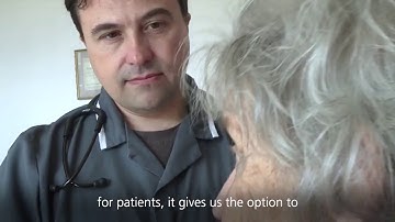 IBIS - an introduction to the system