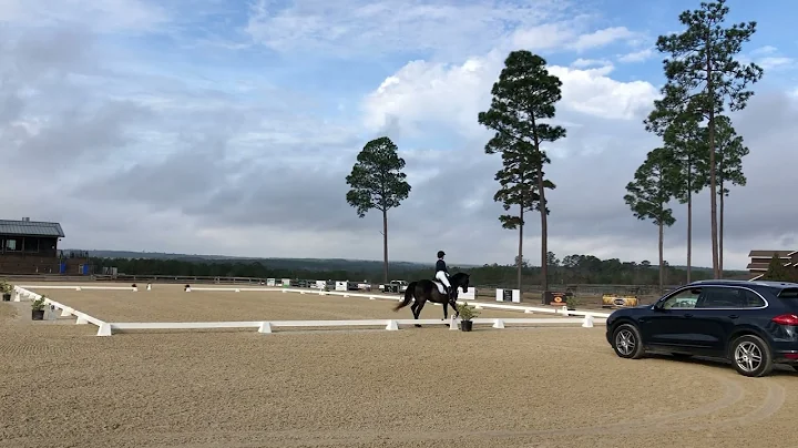 2022 Novice test A - Officer