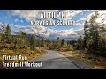 Virtual Run | 30 Minute Treadmill Workout | Norwegian Autumn Scenery | GoPro 11