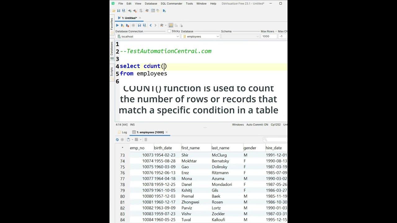 How do you find the number of rows in a table count function sql 