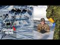 Arctic Training: Canadian troops face -50 C for Yellowknife exercises