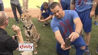 Cubs take selfies with cheetah before game screenshot 3