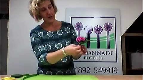 Carnation buttonhole