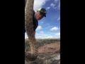 How to kill a rattlesnake properly