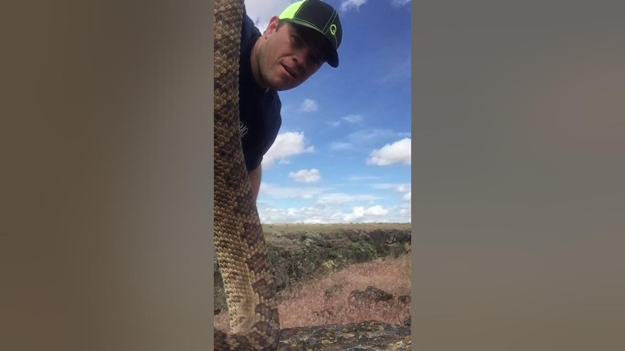 How to kill a Rattlesnake Properly YouTube