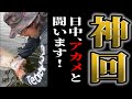 日中、メーターオーバーのアカメのバイトからランディングまで全て目撃してもらいます！