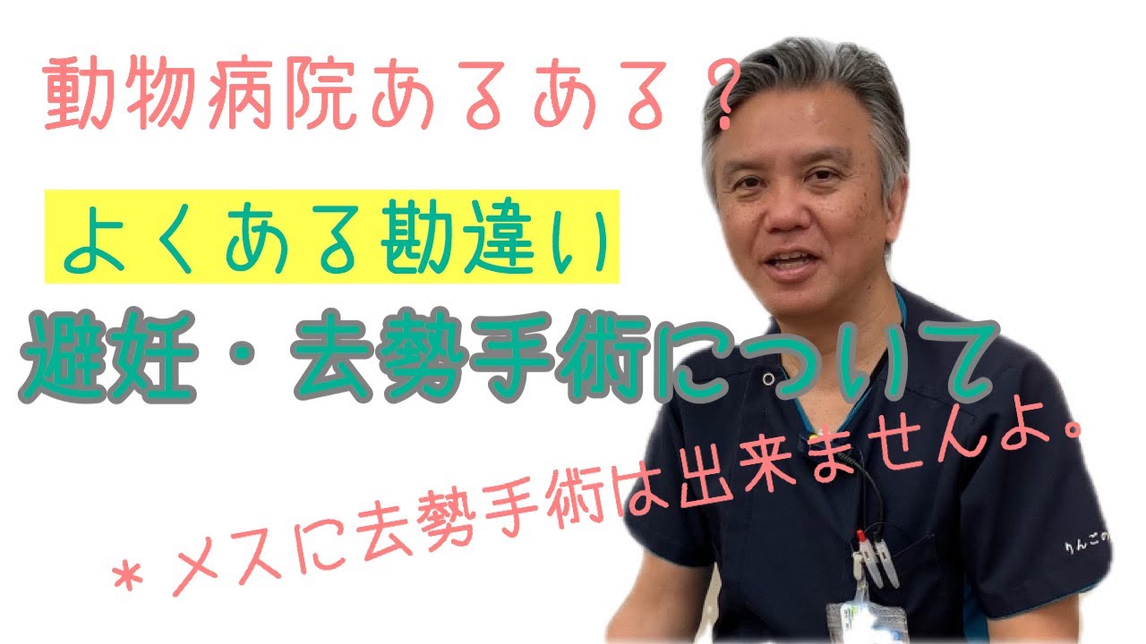 りんごの樹tv よくある勘違い 避妊 去勢手術について Youtube