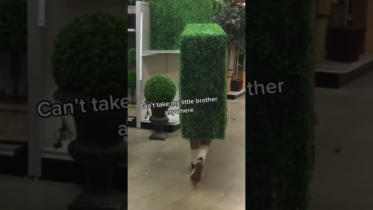 Bro is playing prop hunt irl 