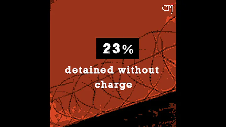 Journalists Imprisoned in 2019: Infographic Video