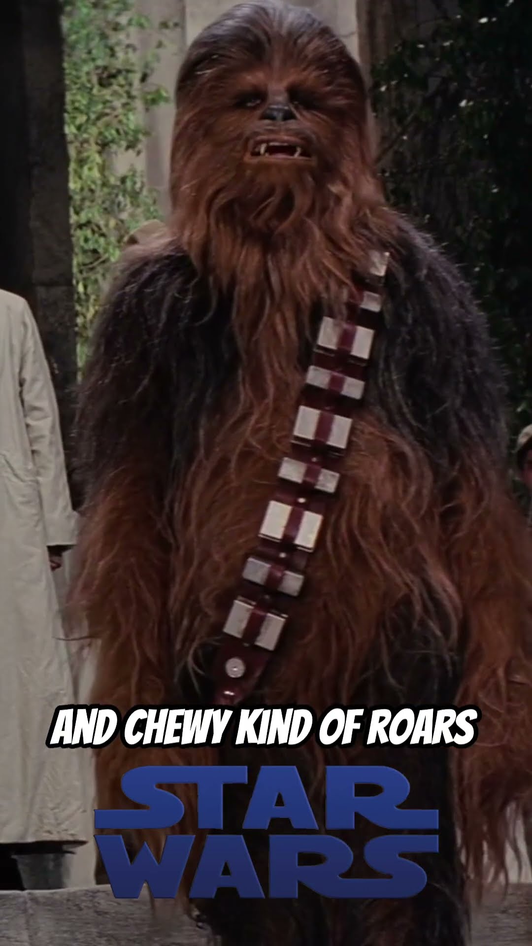 Give That Wookie a Medal | Star Wars Episode IV: A New Hope (1977) | Now Playing Podcast