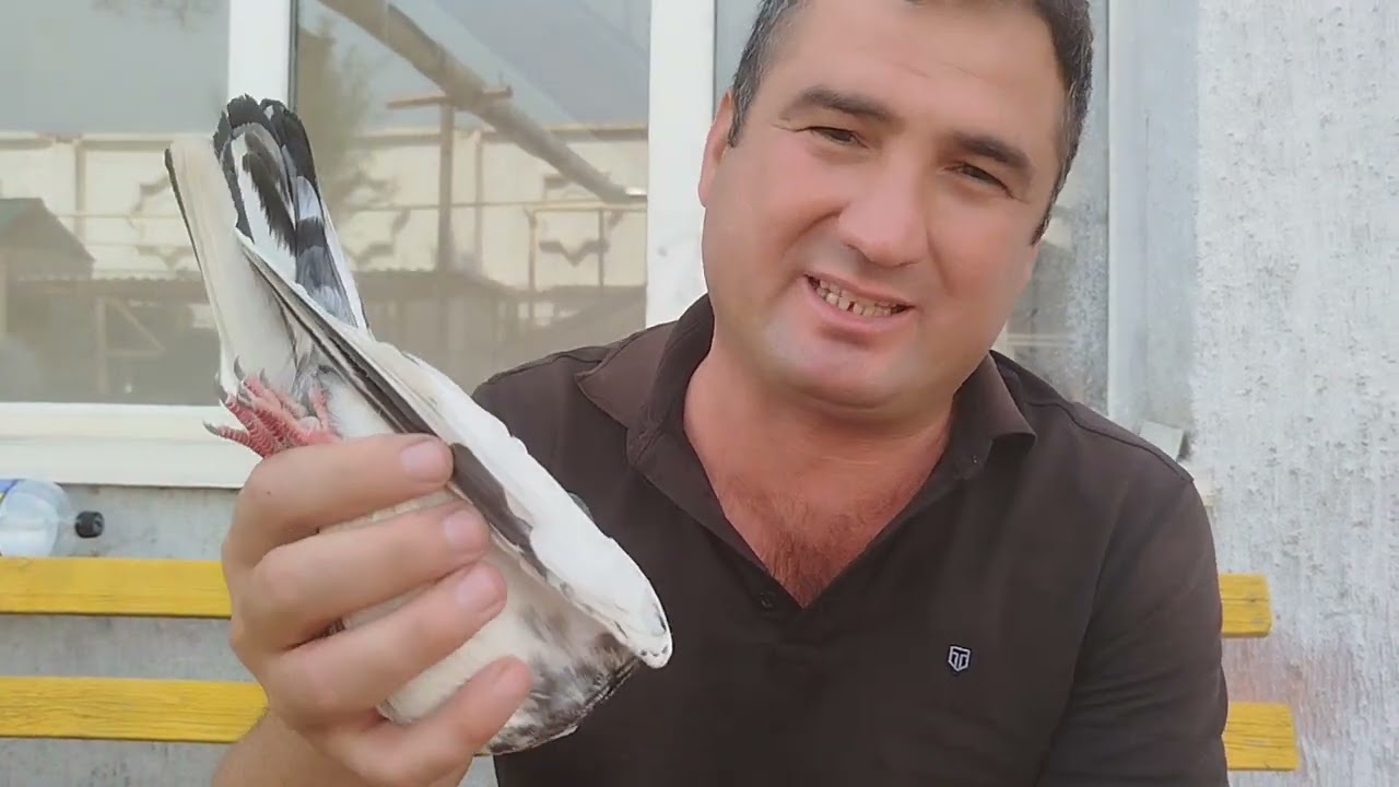 teddy oʻzimiz ozgina tushuncha