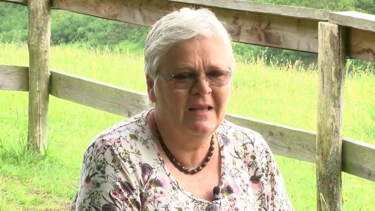 Historien om Molslaboratoriet