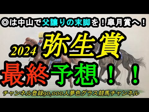 【最終予想】2024弥生賞ディープインパクト記念！◎は中山で父譲りの末脚を炸裂期待！クラシックへ向けて超重要な1戦！