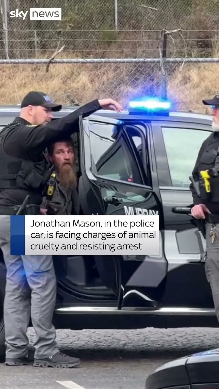 Man rides mule to evade arrest
