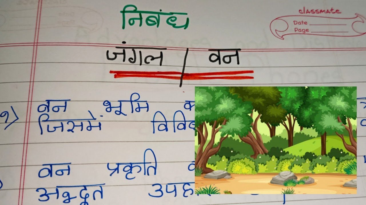 jungle safari essay in hindi