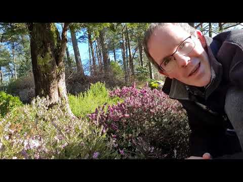 Video: Heather Garden - Et Sandt Eventyr Om Paradis