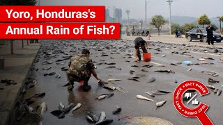 Fact Check Does Image Show Annual Rain Of Fish Event In Yoro, Honduras?