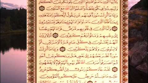 القران الكريم سورة التوبة من الاية 123 الى الاية 129