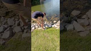 What will we catch with turkey and catfish bait in broad daylight? | #fishing #takemefishing #fish