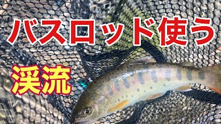 渓流にて、バスロッドを使う