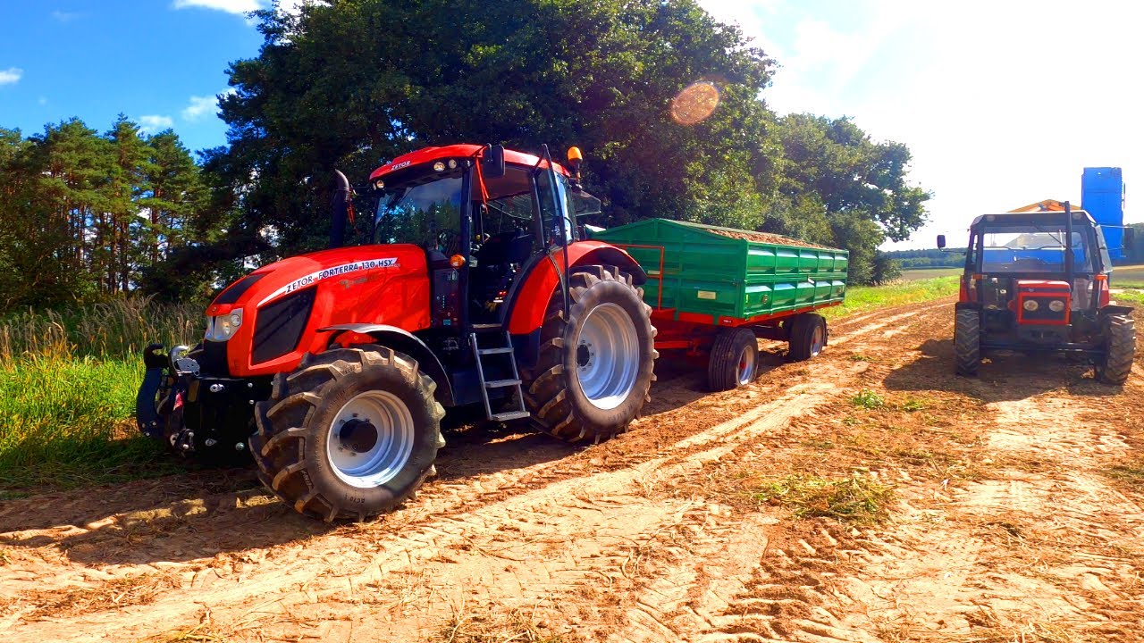 WYKOPKI 2023 / ZETOR 5245 I ANNA - ZIEMNIAKI ZROBIŁY DOBRY WYNIK [VLOG 69]