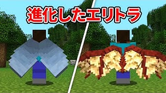 エリトラ Youtube