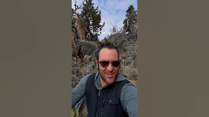 Treehouse 🌲 🏠 Time… Share some of your ideas…  one will win… #ranch #treehouse #build #off-grid