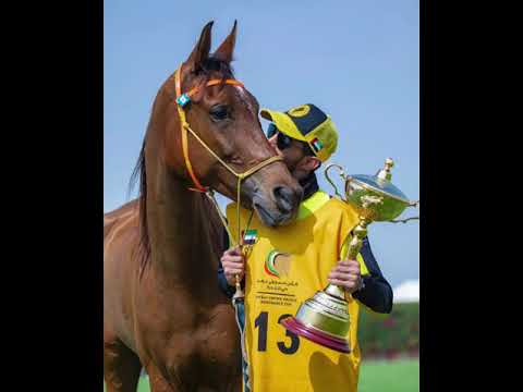 الشوط الأول عيضة المنهالي الأصلية