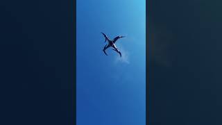 SYMA X8 Drone Takeoff #shorts #drone