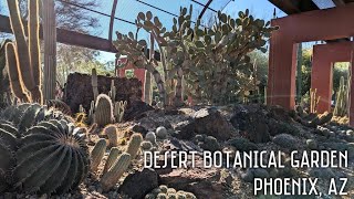 Desert Botanical Garden | Phoenix, AZ | Let's visit my favorite cactus plants!