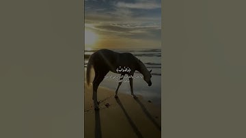 ما تيسر من #سورة #الحج بصوت #امام #الحرم_المكي #الشيخ #ياسر_الدوسري #قرآن #كريم #اكسبلور #لايك #ترند