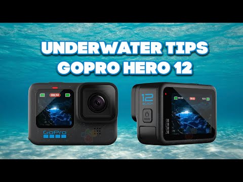 Underwater Tips | GoPro Hero 12 hqdefault